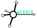 Merwin.online